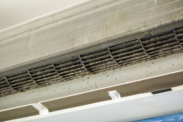 Best HVAC Air Duct Cleaning  in Bowmanstown, PA